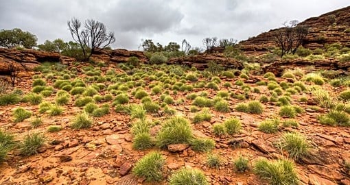 All trips to Australia should include a visit to the arid landscape of the Australian outback.