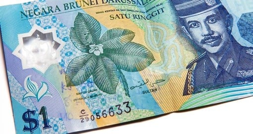 Bruneian currency