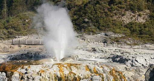 Discover Redwoods in Rotorua during your next trip to New Zealand.