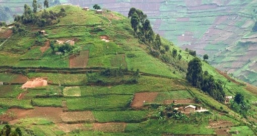 Virunga Mountains