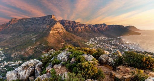 Start your journey in Cape Town, South Africa's Mother City