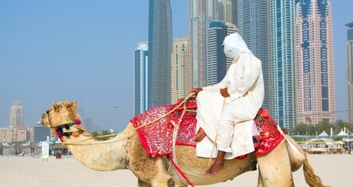 Dubai beach and camel
