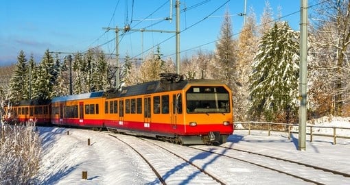 Zurich S-Bahn on the Uetliberg mountain - Switzerland