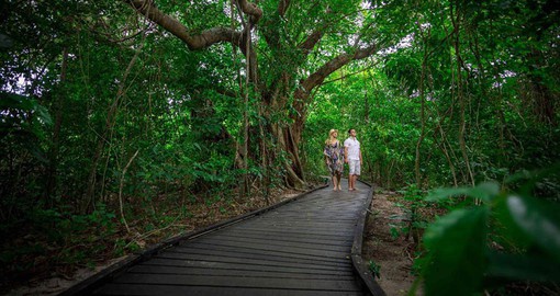 Include a visit to the tropical rain forests in Cairns on your trip to Australia