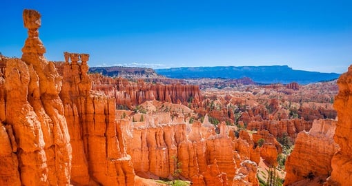 The hoodoos are Bryce Canyon's calling card