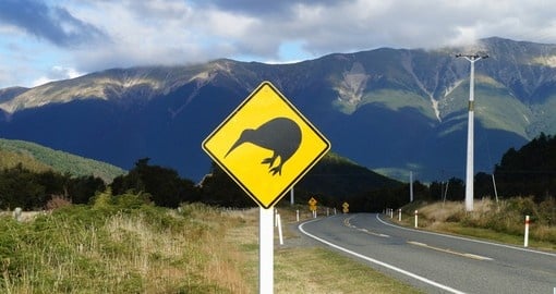 Another sign you might only see on your next New Zealand tours.