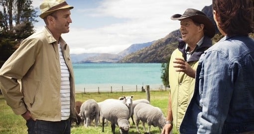 Visit beautiful farms in New Zealand