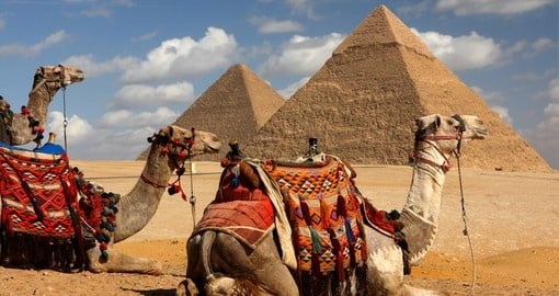 Egypt Nature & Wildlife | Egypt Tours & Vacations | Goway
