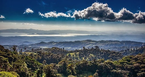 The Monteverde Cloud Forest offers great opportunities to discover exotic plants and wildlife