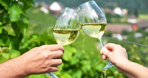 Vineyards in Rhine region