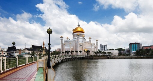 Explore Brunei Nature and Wildlife
