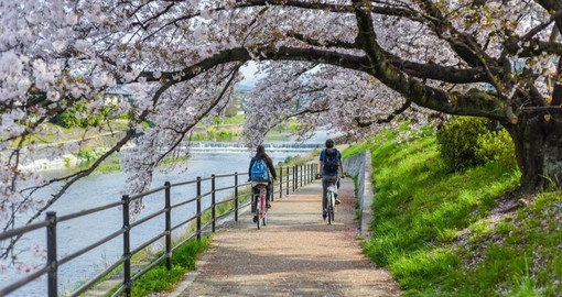 Enjoy a bike ride around Kyoto as part of your Japan Tour