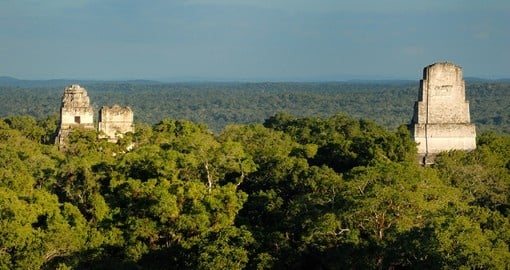 Tikal Mayan pryramid