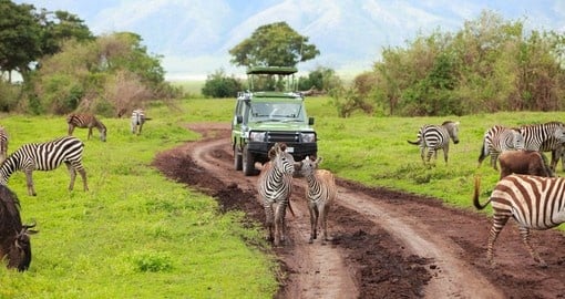 Tanzania's Ngorongoro Crater will be a highlight of your African safari.