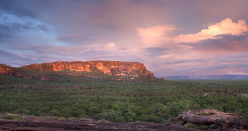 Australia's biggest national park, Kakadu is filled with rugged escarpments and rock art galleries