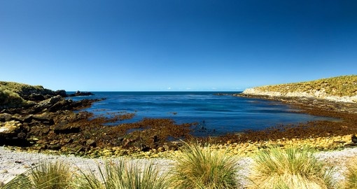Panoramic Image on Kidney Island