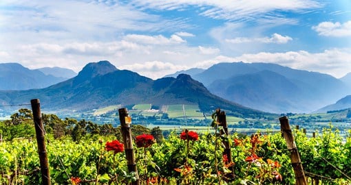 The Cape Winelands in Franschhoek is home to one of the best-tasting South African wines
