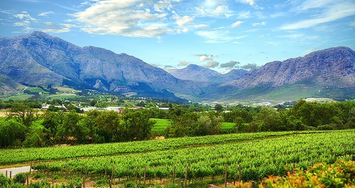 Stellenbosch is South Africa's second oldest town and the heart of the Cape Winelands