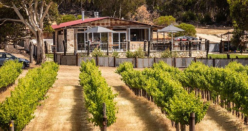 Kangaroo Island's False Cape winery produces high quality wines using time honoured practices