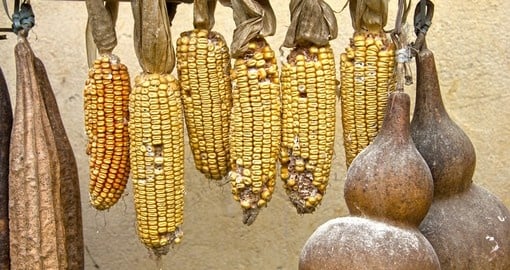 Corn and calabash fruit drying