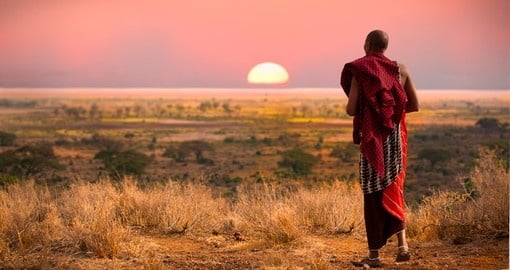 Experiences without compare - a Tanzania safari will provide memories that will last a lifetime.