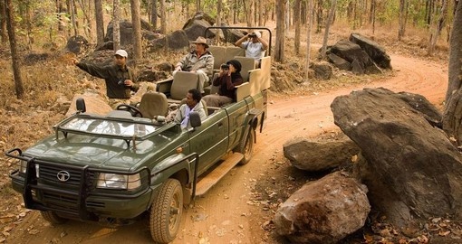 Unforgettable game drives in India's best national parks