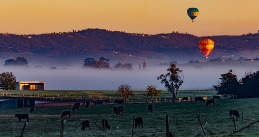 Experience the beauty of the Yarra Valley in a hot-air balloon
