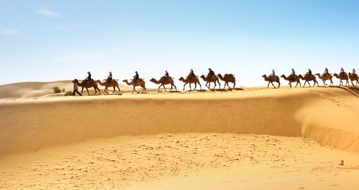 Desert caravan, Tunisia