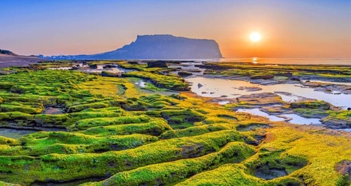 Seongsan Ilchulbong, also known as 'Sunrise Peak', is a UNESCO World Heritage site and one of Jeju Island's most famous features