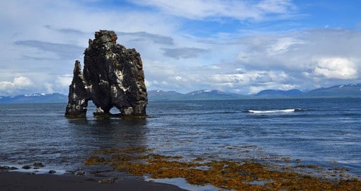 Hvitserkur is a beautiful cliff where many types of seabirds, especially gulls and fulmars, have made their nests for centuries