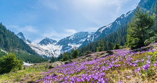 The Fagaras Mountains, the highest in Romania, are known as "The Transylvanian Alps"