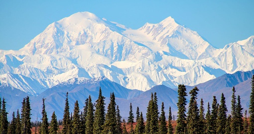 The dramatic landscapes of Denali National Park