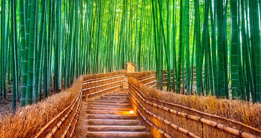 Enjoy a walk through the Sagano Bamboo grove