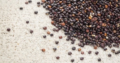 Black quinoa grain