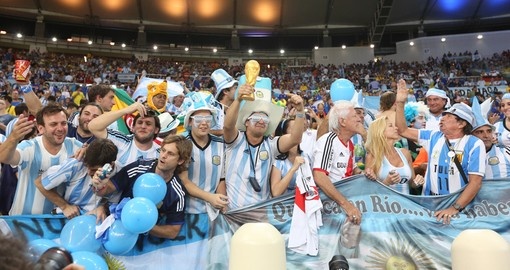 Fans celebrating at the 2014 World Cup