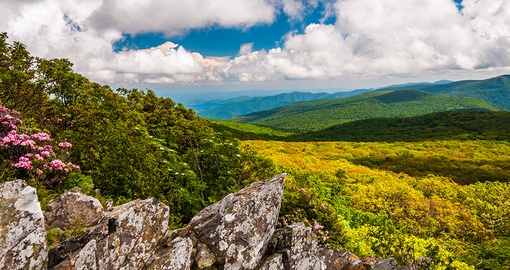 Catch some unforgettable scenic views in Shenandoah National Park, Virginia