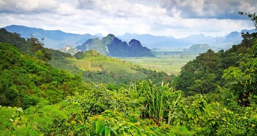 Khao Sok National Park is covered by the oldest rainforest in the world