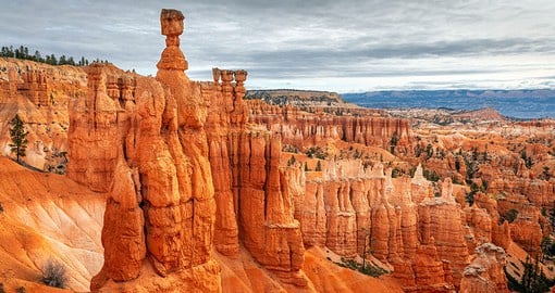 The magnificent Bryce Canyon, Utah