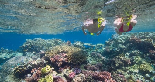 Enjoy Snorkelling in Tiputa Pass on your next Tahiti vacation.