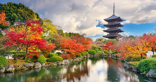 Known for it's classical Buddhist temples, Kyoto was the capital of Japan until 1868