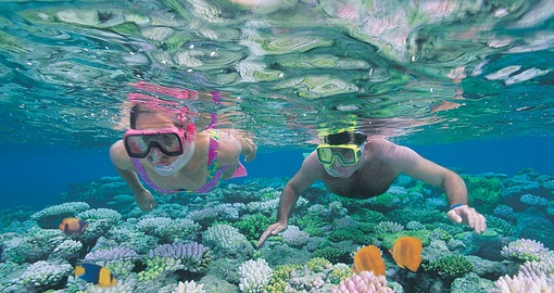 Explore snorkeling on your next trip to Australia.