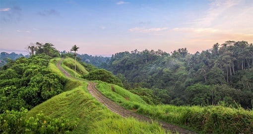 Located in the uplands of Bali, Ubud is the centre of Bali's traditional crafts and spiritual life.