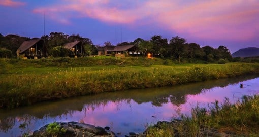 The Safari Lodge is situated on the banks of Zululand's Mkuze River