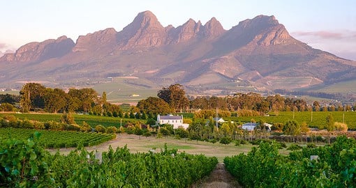 Your South Africa travel continues to the beautiful Franschhoek Valley