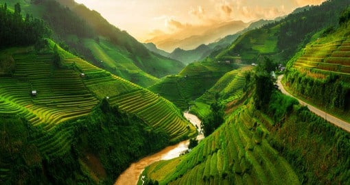 The terraced rice fields near Sapa are regarded as among the most beautiful in the world