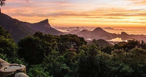 Tijuca Forest is a huge jungle that stretches from the heart of Rio