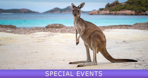 Kangaroo Island is a sanctuary for wildlife and natural