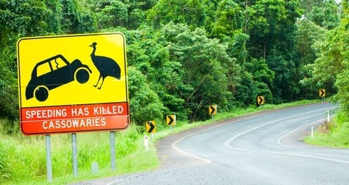 A cassowary road warning sign near Mission Beach