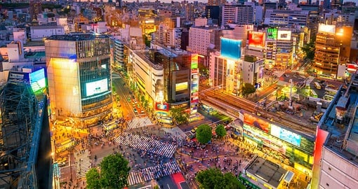 Join the crowd at Shibuya Crossing on your Japan Tour