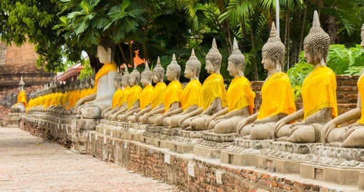 Buddha Statues, Wat Yai Chaimongkol